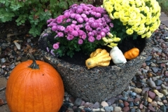 Fall at Bluff Country Retreat