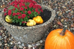 Fall at Bluff Country Retreat