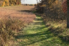 West side walking trails