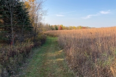 West side walking trails