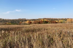 Views to the north