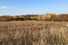 Views from north side of property