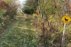 Trail on East side of property