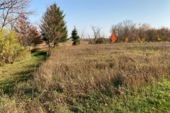 View from East side of property