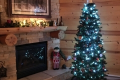 Have Christmas at Bluff Country Retreat