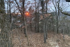 View from the pond in evening