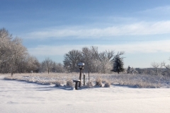 Winter landscape