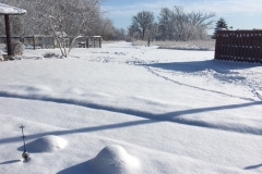 Enjoy some Winter time fun