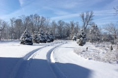 We do plow, no worries.