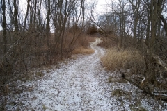 Winter trails