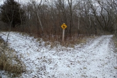 Trails in the winter