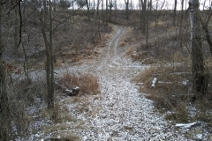 Winter trails are fun to explore