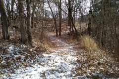 Winter trails