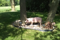 Bluff Country Pig