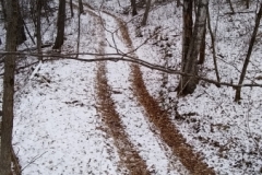 Winter trails