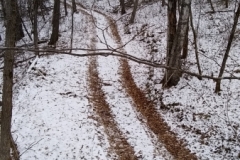 Winter trails