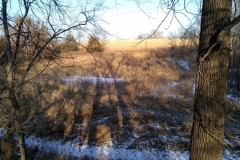 Pond in November