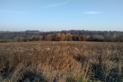 View from the North