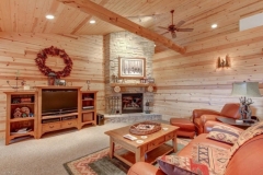 Living / family room