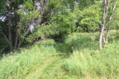 Some walking trails go through the wooded areas for more enjoyment