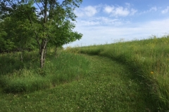 Walking trails circle the conservation reserve acres for easier walking