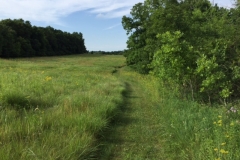 Walking trails go through the full 80 acres