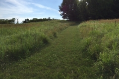 Mowed trails